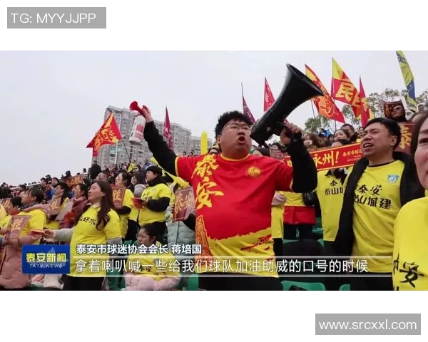 球迷文化的崛起与发展探析：激情、认同与现代社会的互动关系